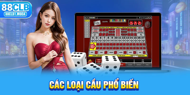 Các loại cầu phổ biến