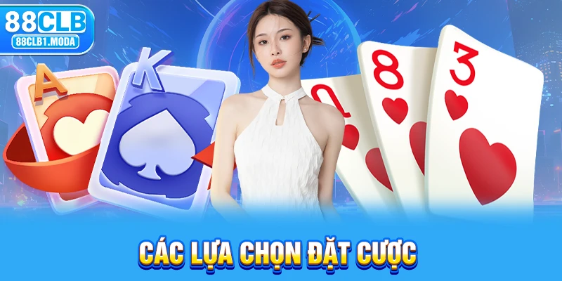 Các lựa chọn đặt cược