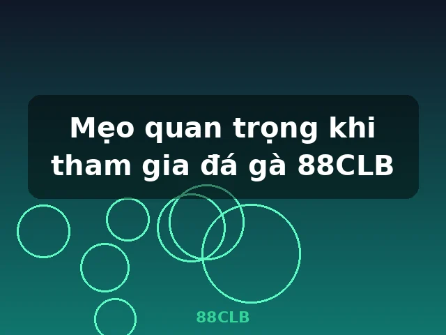 Mẹo quan trọng khi tham gia đá gà 88CLB